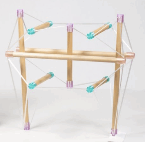 Tensegrity Pelvis - NEW!